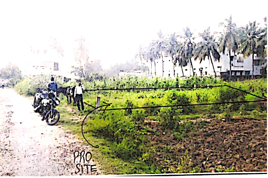 course